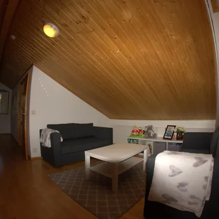 Chalet Näre-levi *