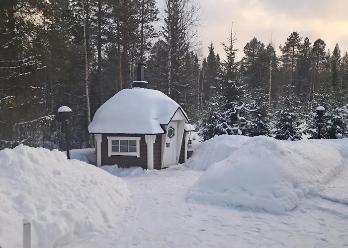 Naere-levi * 锡尔卡