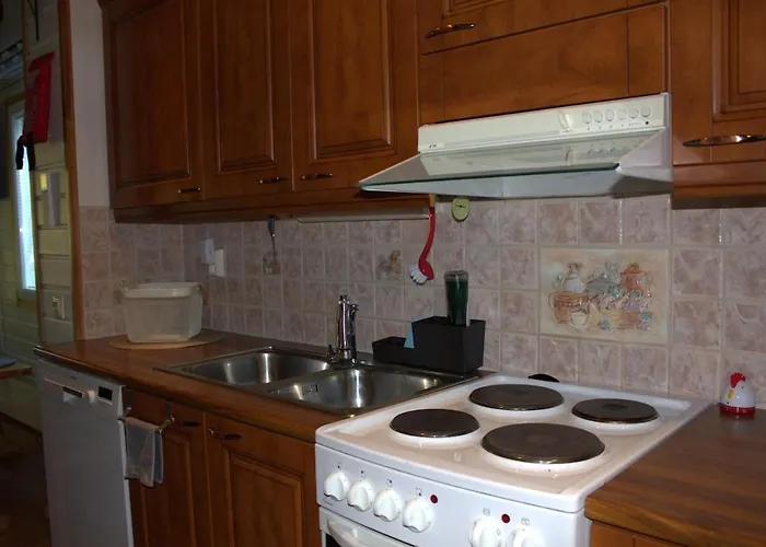 Naere-levi 木屋 锡尔卡