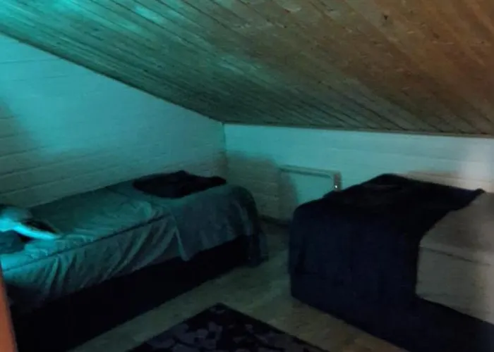 Naere-levi * 锡尔卡